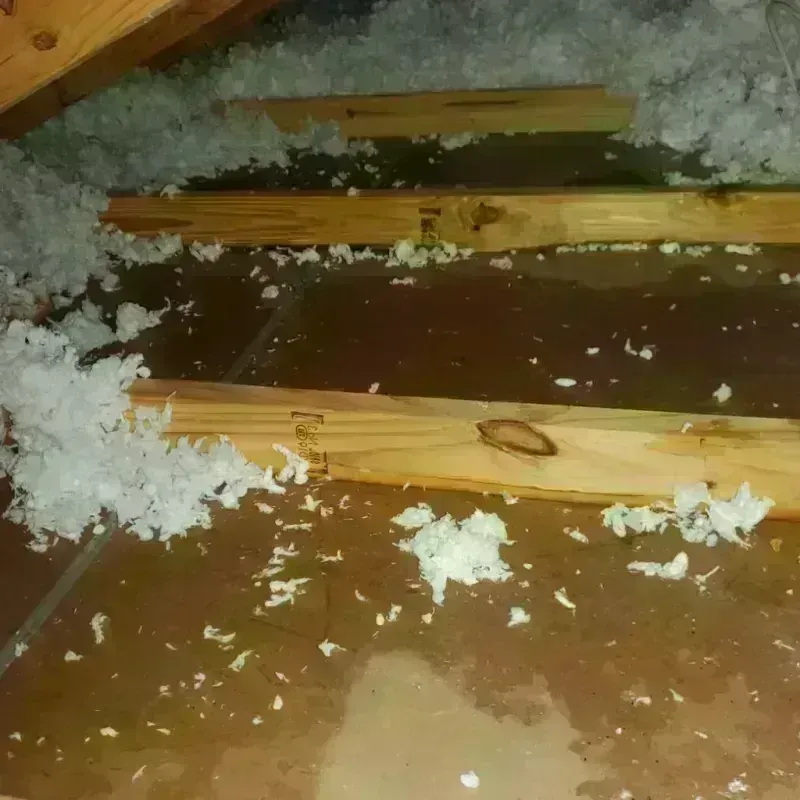 Attic Water Damage in Bunk Foss, WA