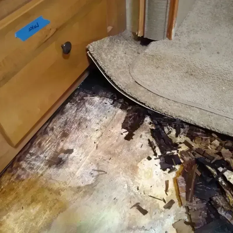 Wood Floor Water Damage in Bunk Foss, WA